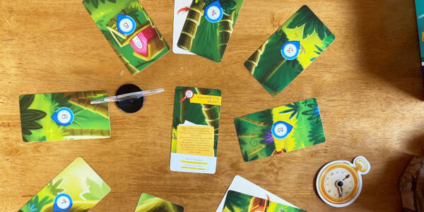 Hra Detektiv Kočička