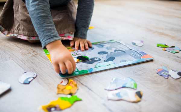 Rámové puzzle Dodo